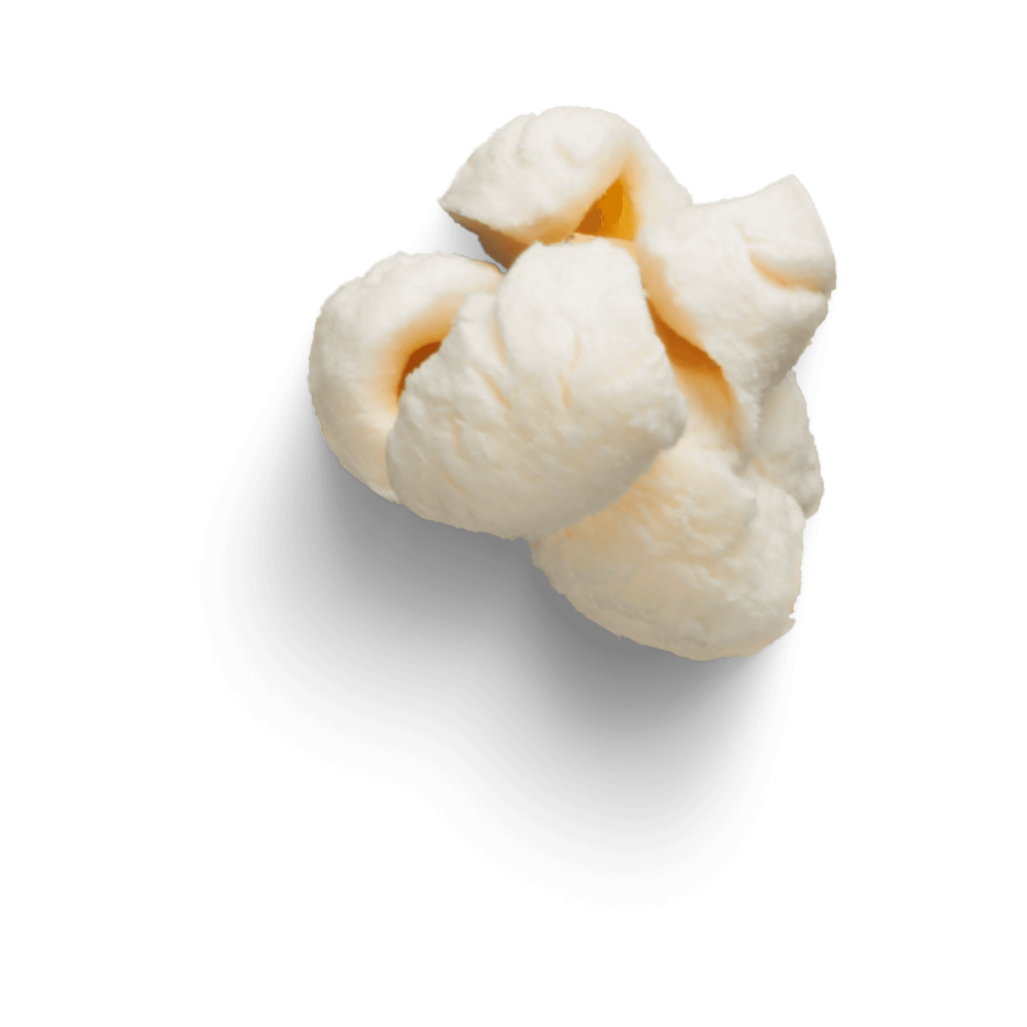mushroom_2