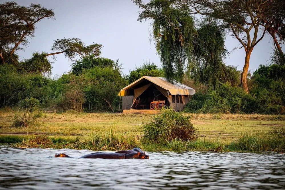 Honey Bear Bush Camp