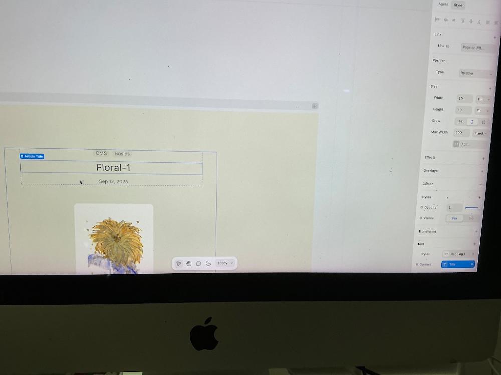 Visually searched image
