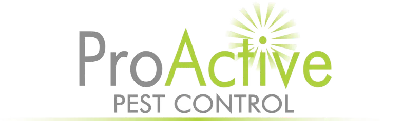 Orginal Logo