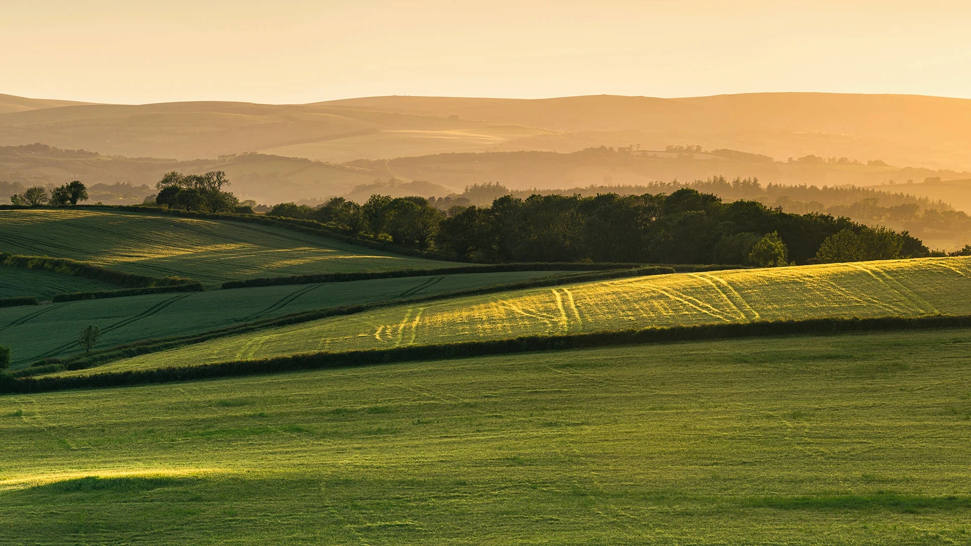 Rolling fields at sunset