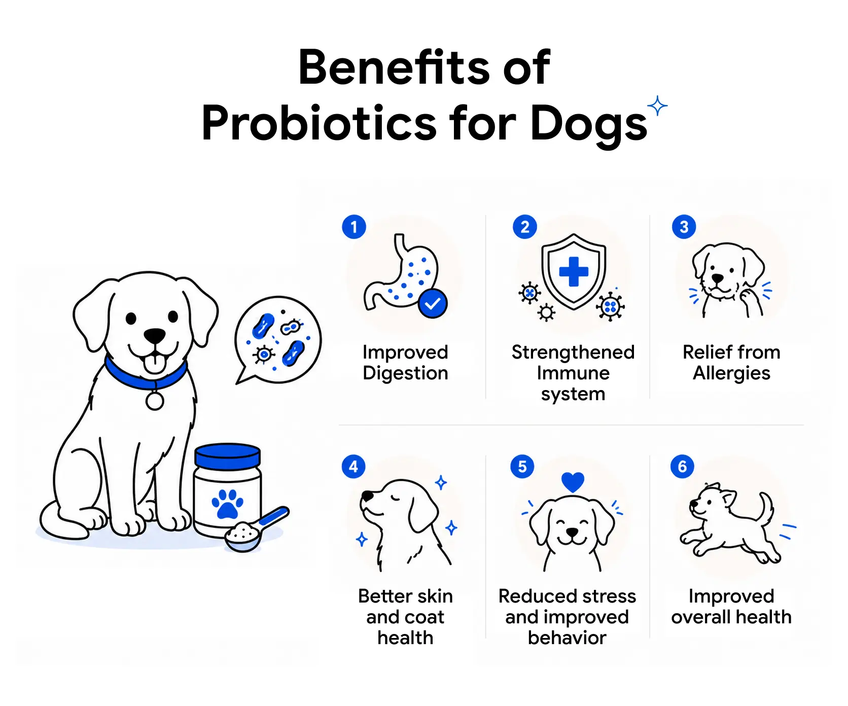 An infographic detailing the benefits of probiotics for dogs.