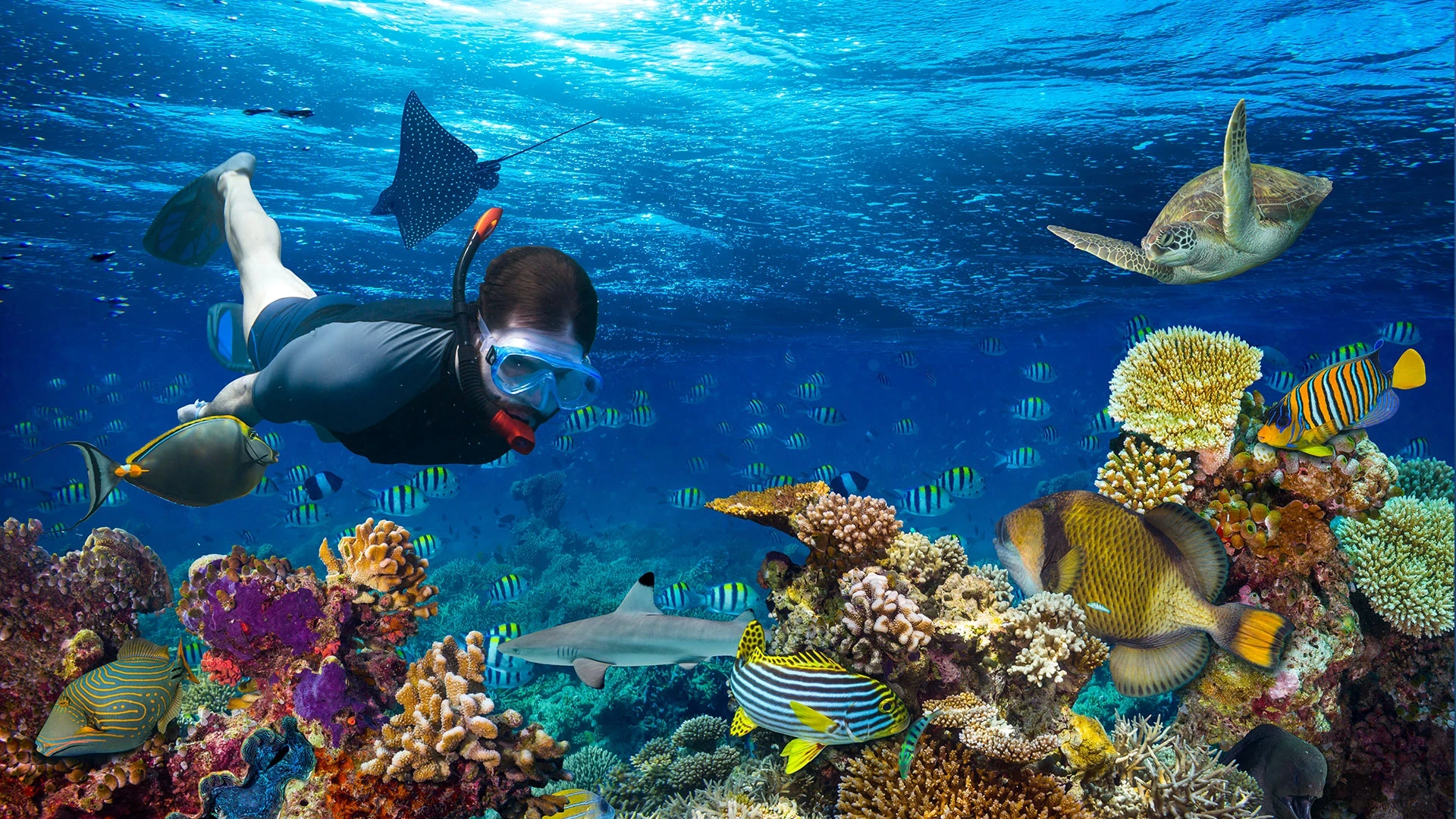 snorkeling