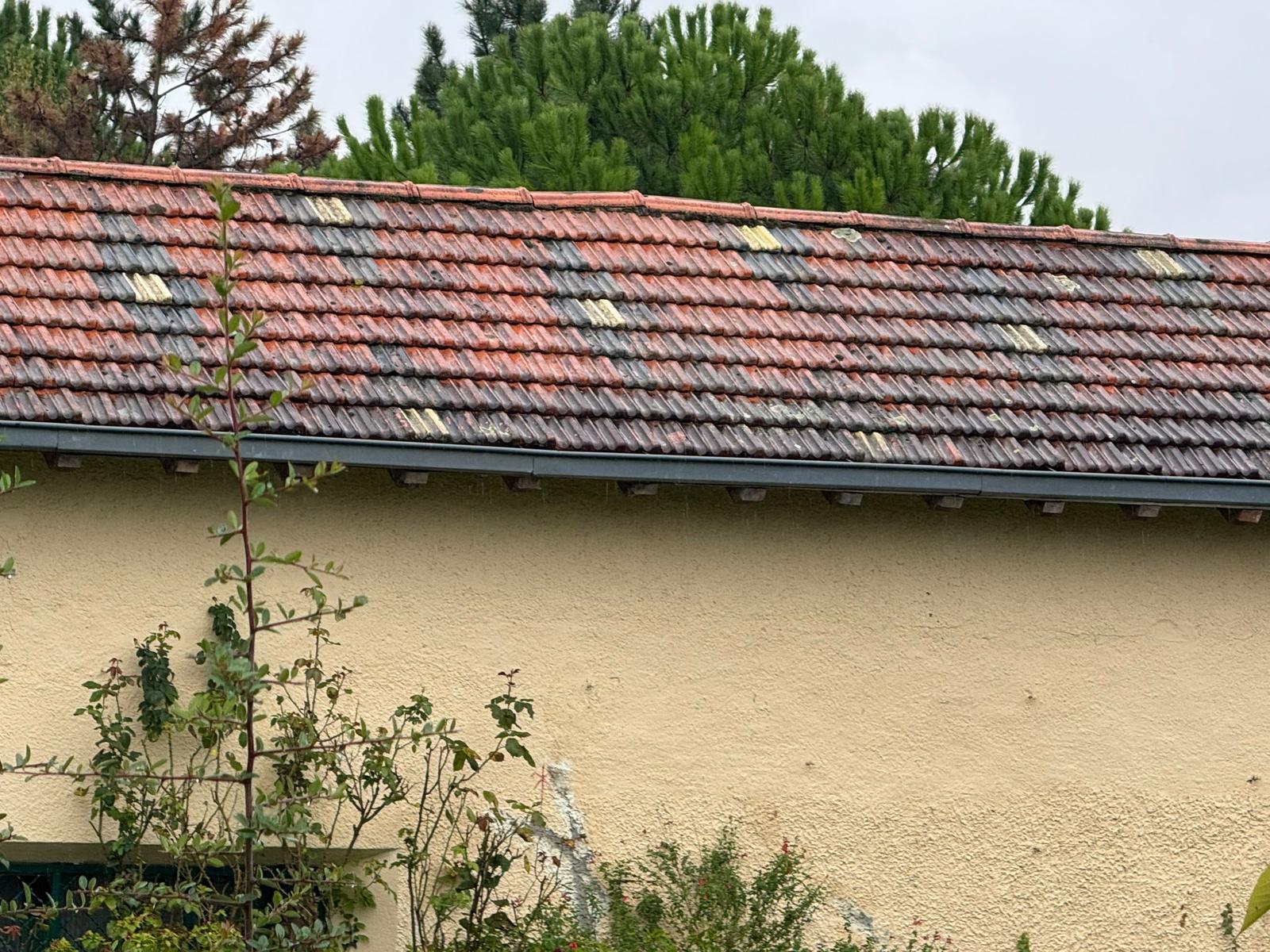 Système de ventilation de grenier avec chatière faîtière à Lyon