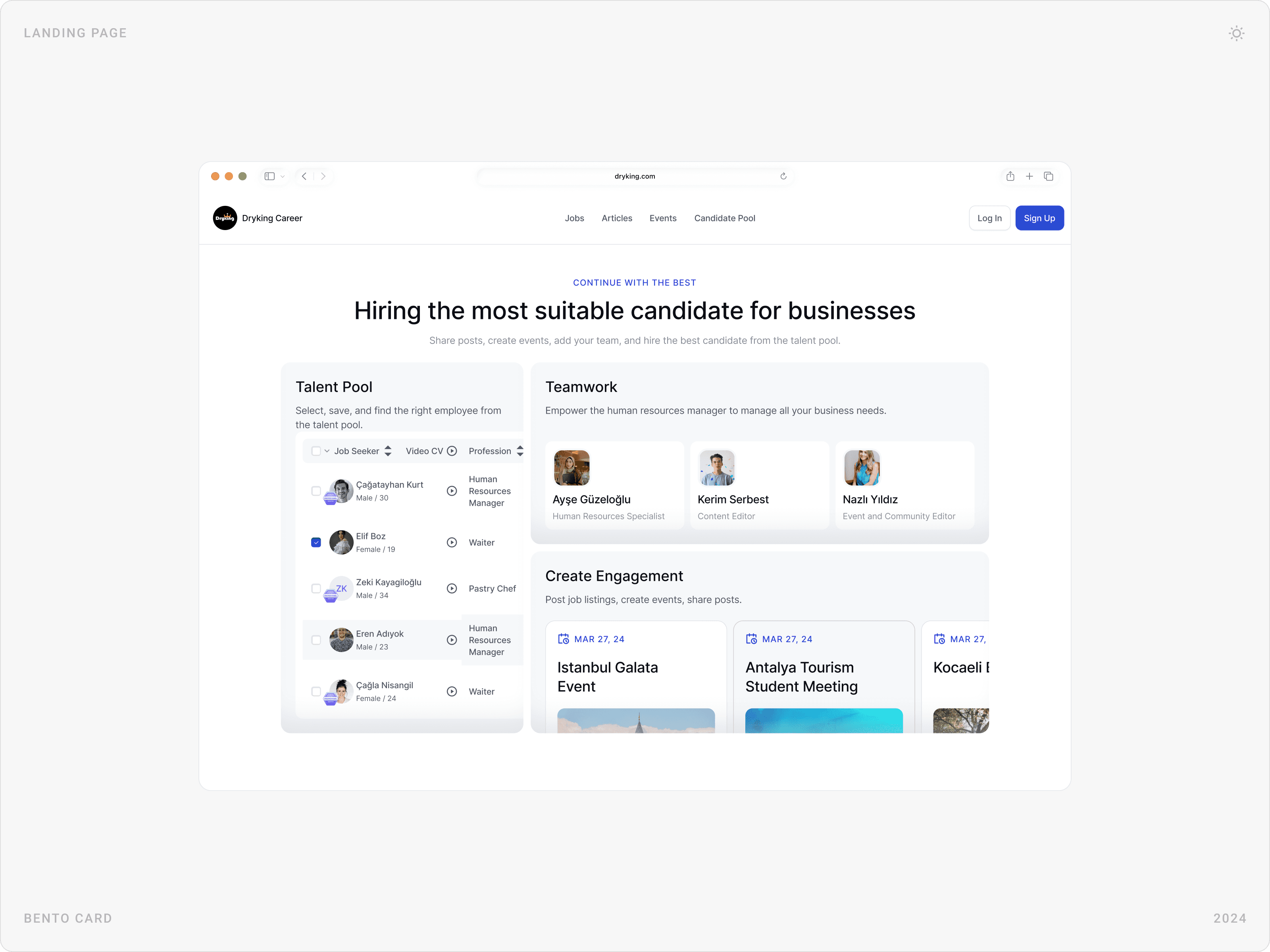 Professional Talent Pool Landing Page Design