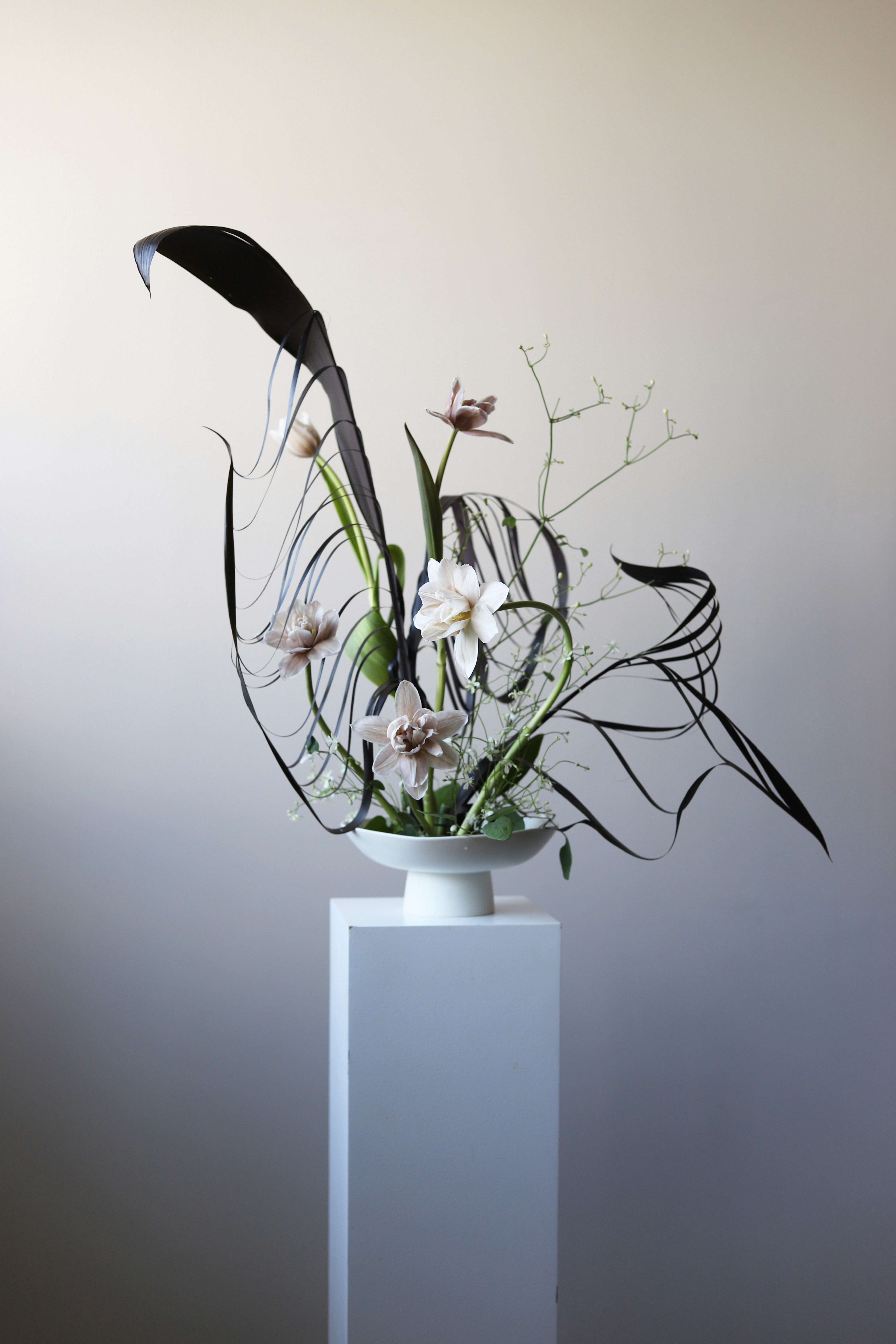 A Study of Lines & Form