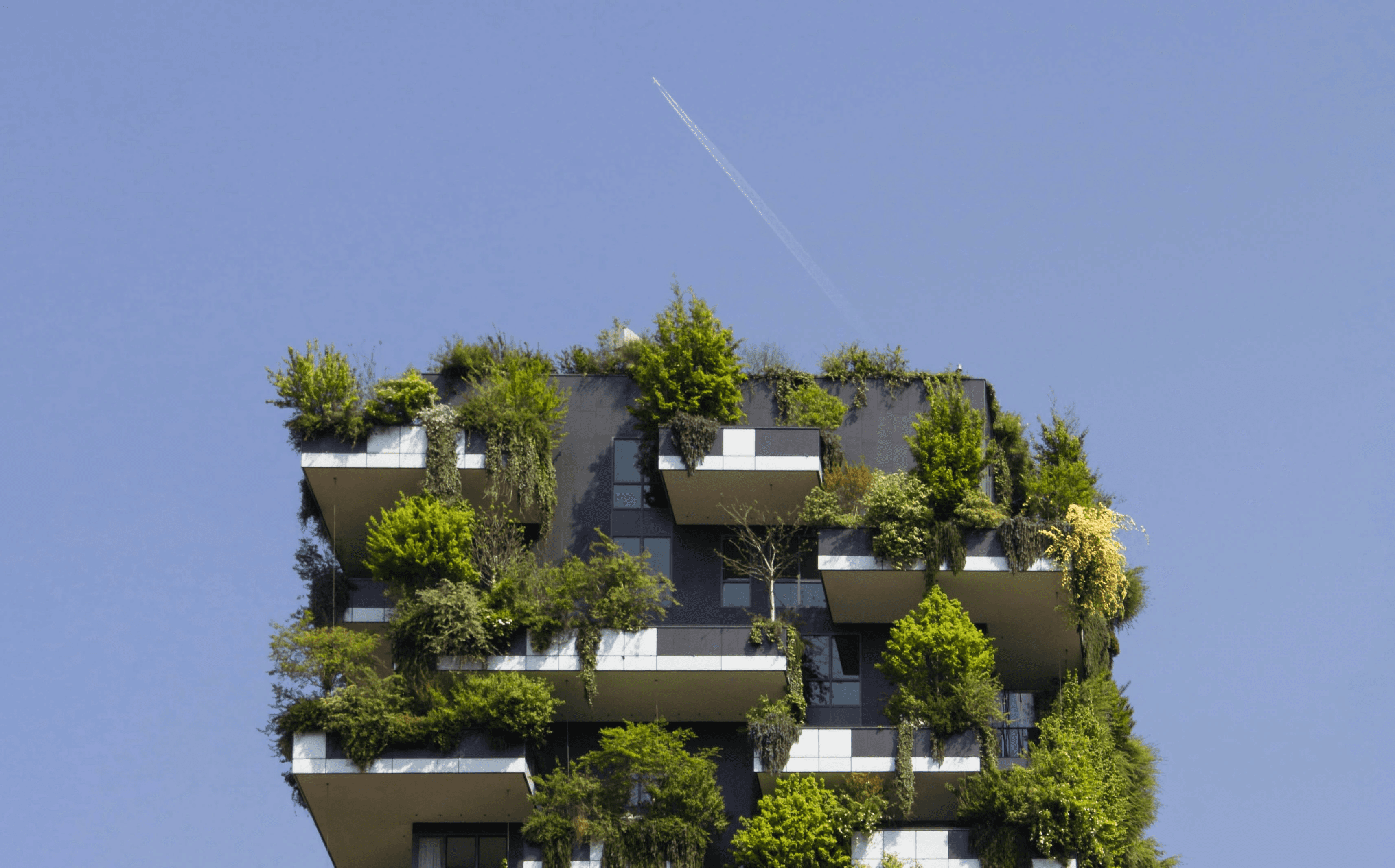 building covered in plants