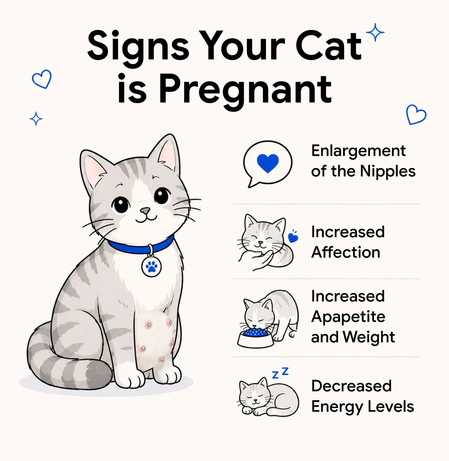 Signs Your Cat Is Pregnant