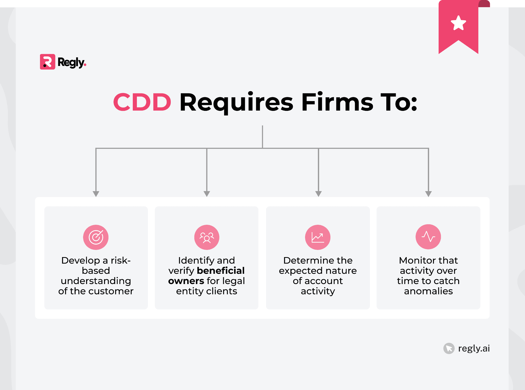 Customer Due Diligence (CDD)