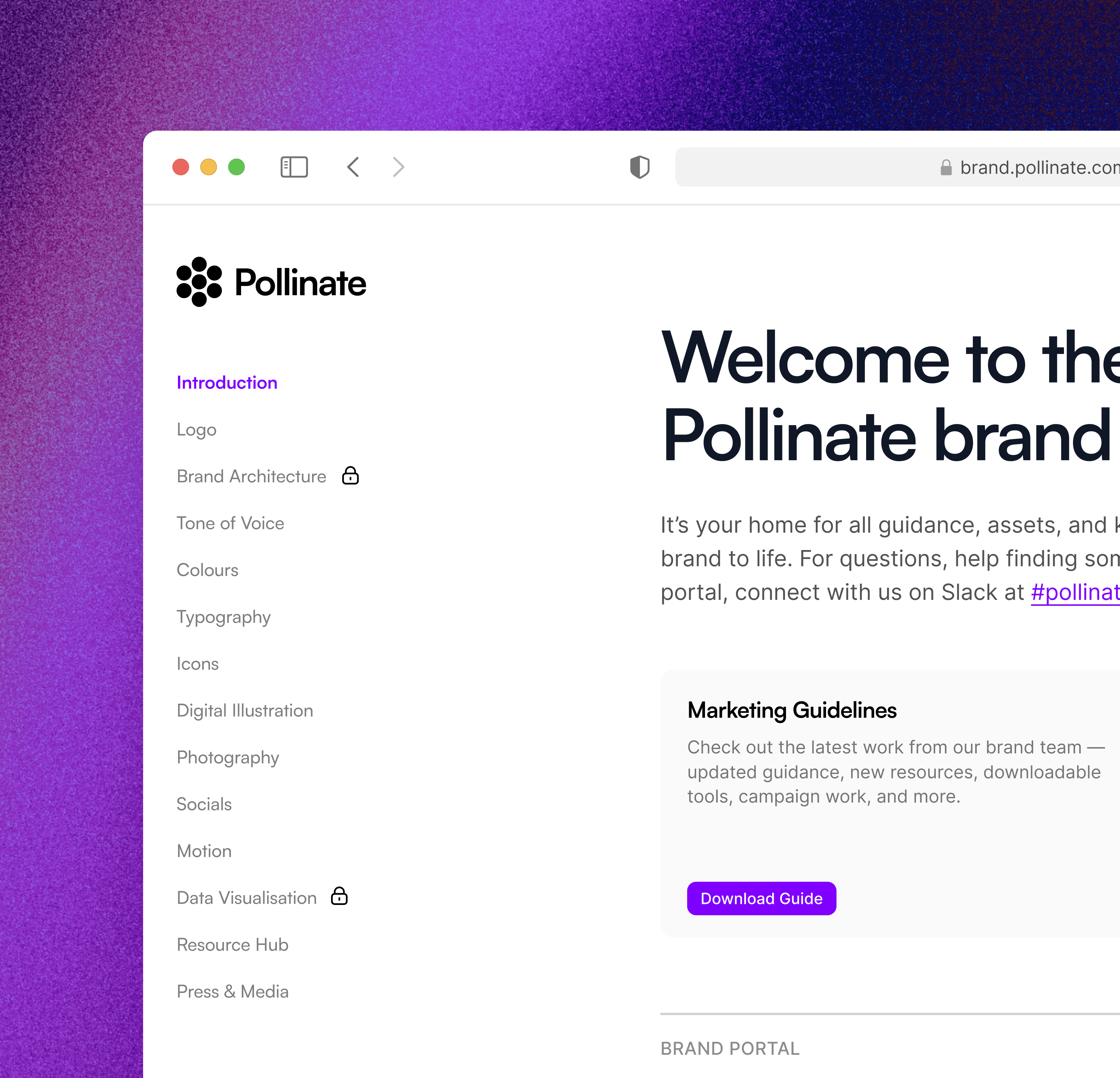 various brand elements showcasing designer use cases