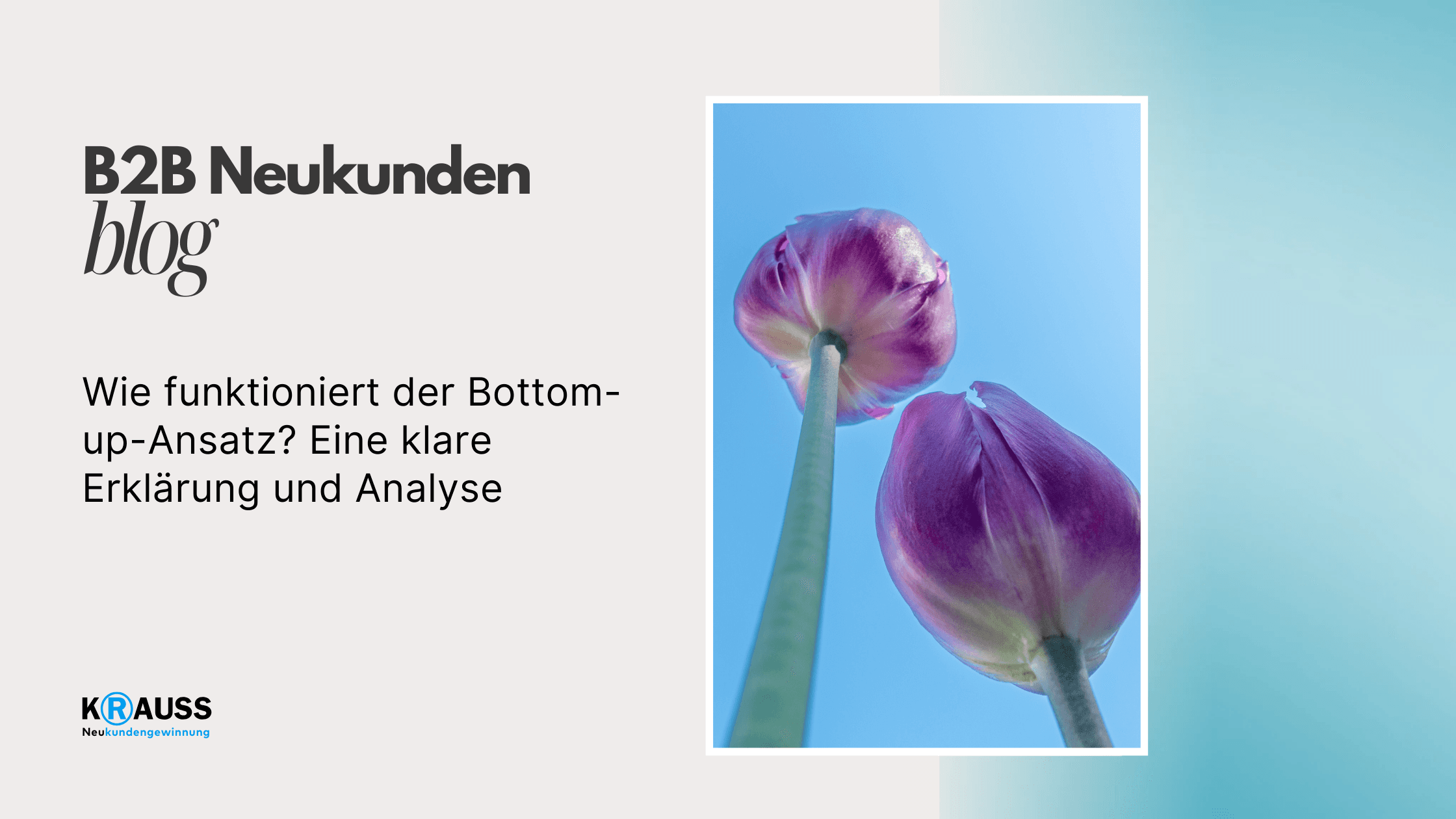 Wie funktioniert der Bottom-up-Ansatz? Eine klare Erklärung und Analyse