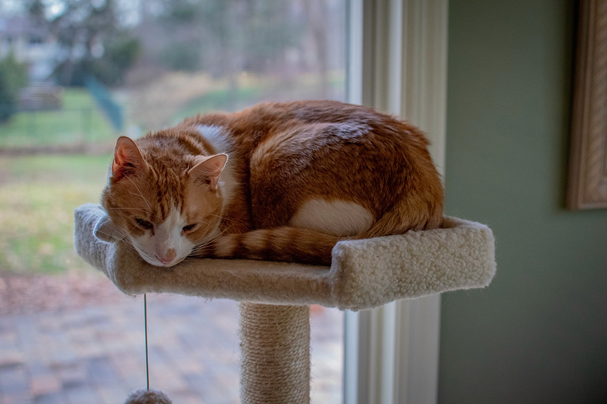 "Home" photo collection 03