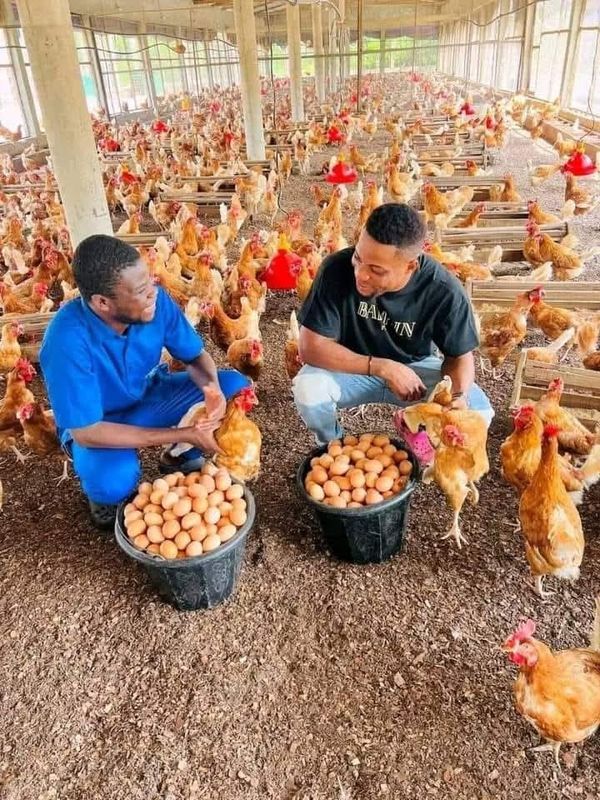 Farmer Emmanuel T. with free-range chickens