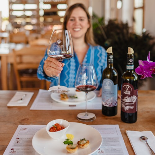Gourmet Wine & Food Tasting