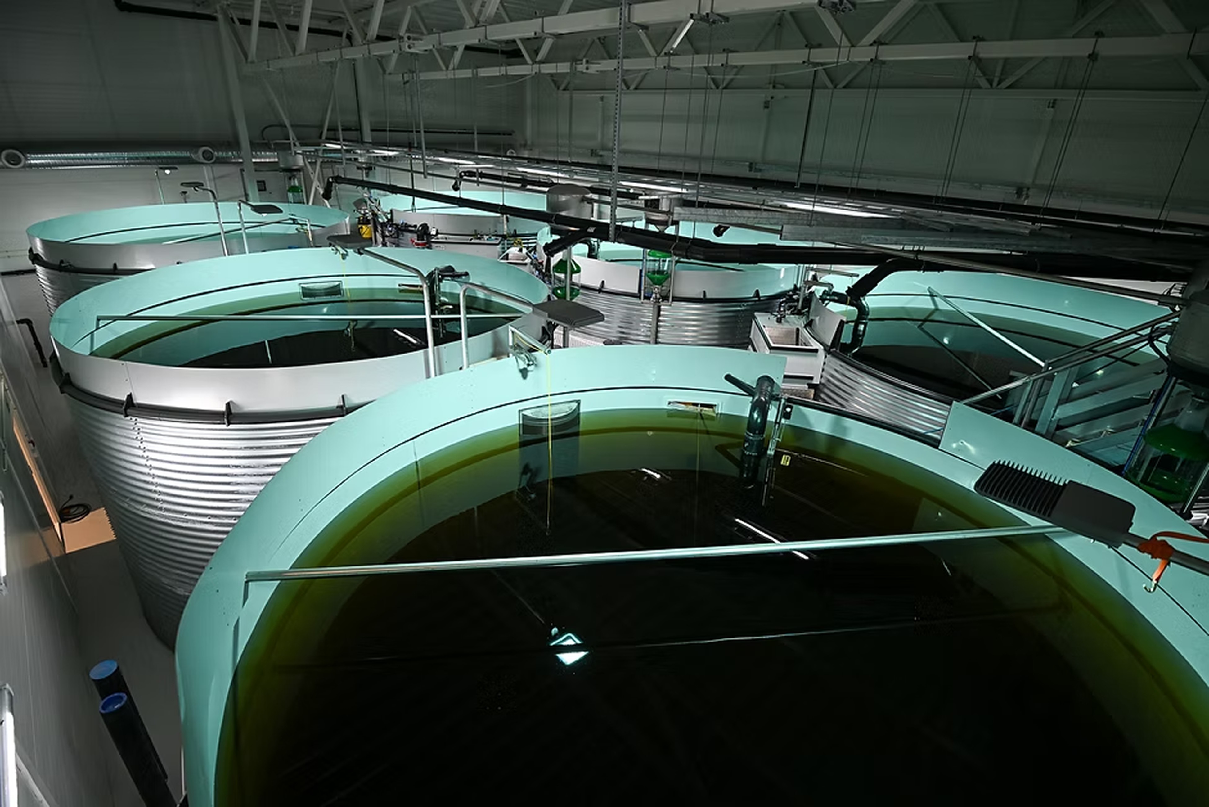 Process Section Image