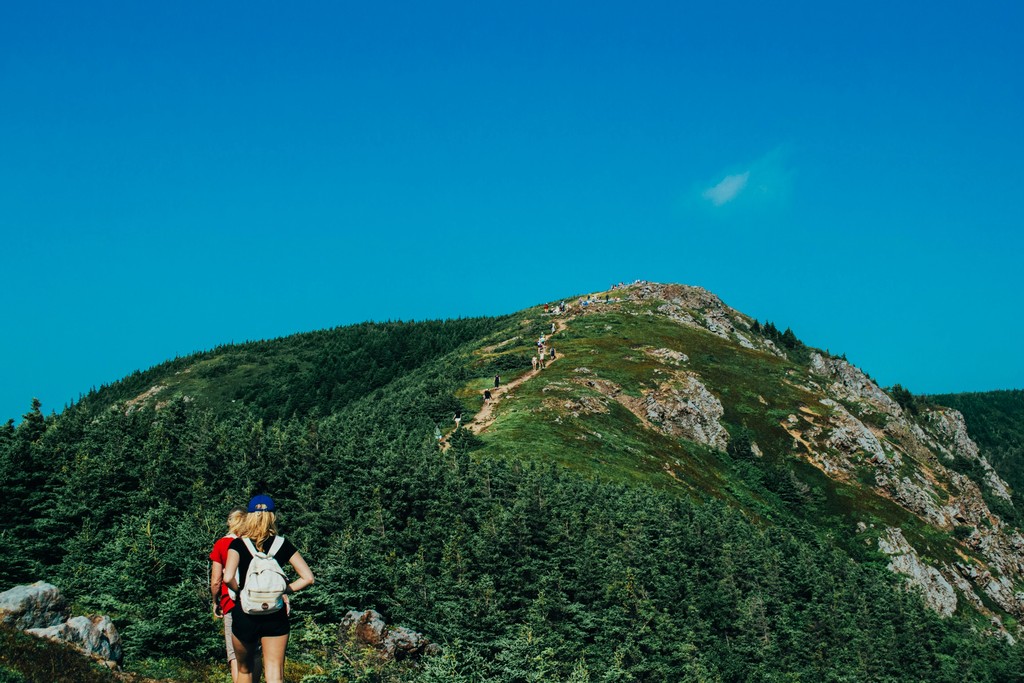 people standing on hill facing trees