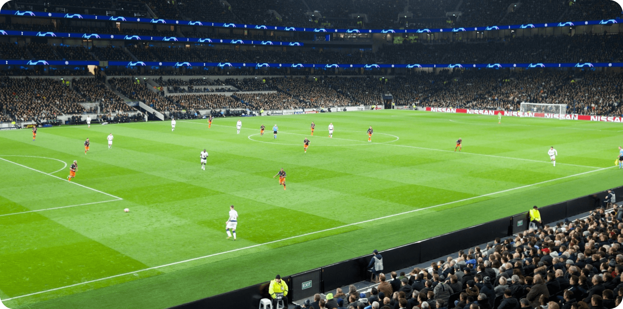 Spicy Mango - Eleven Sports