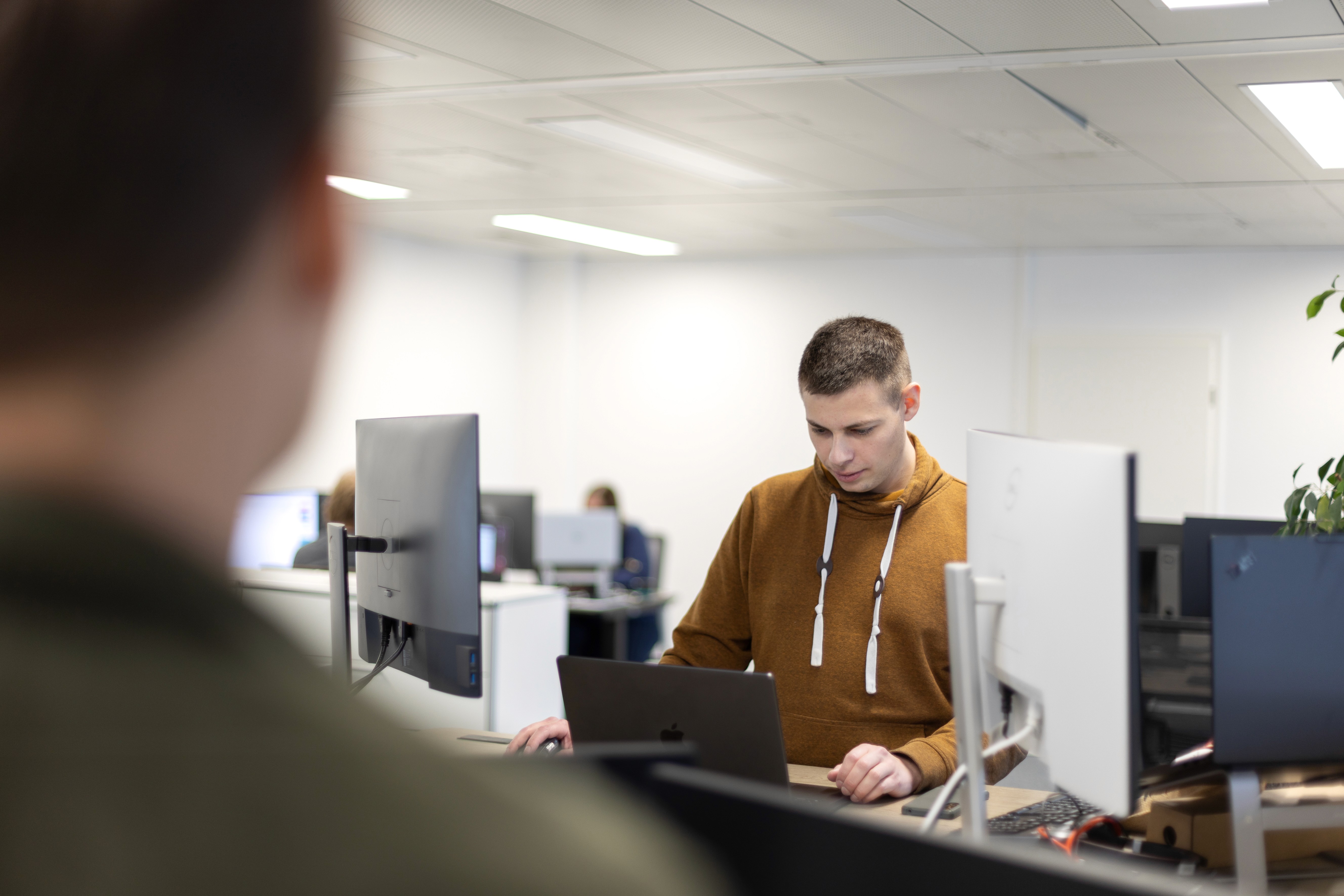 person facing computer desktop