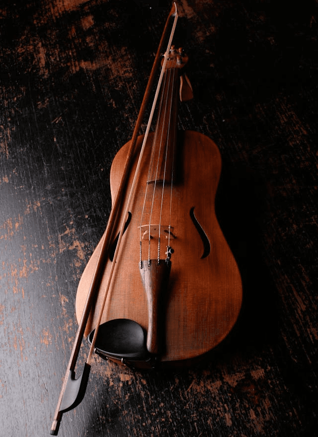 Violin