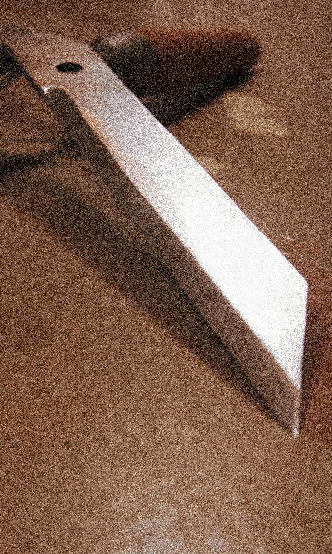 portrait photography