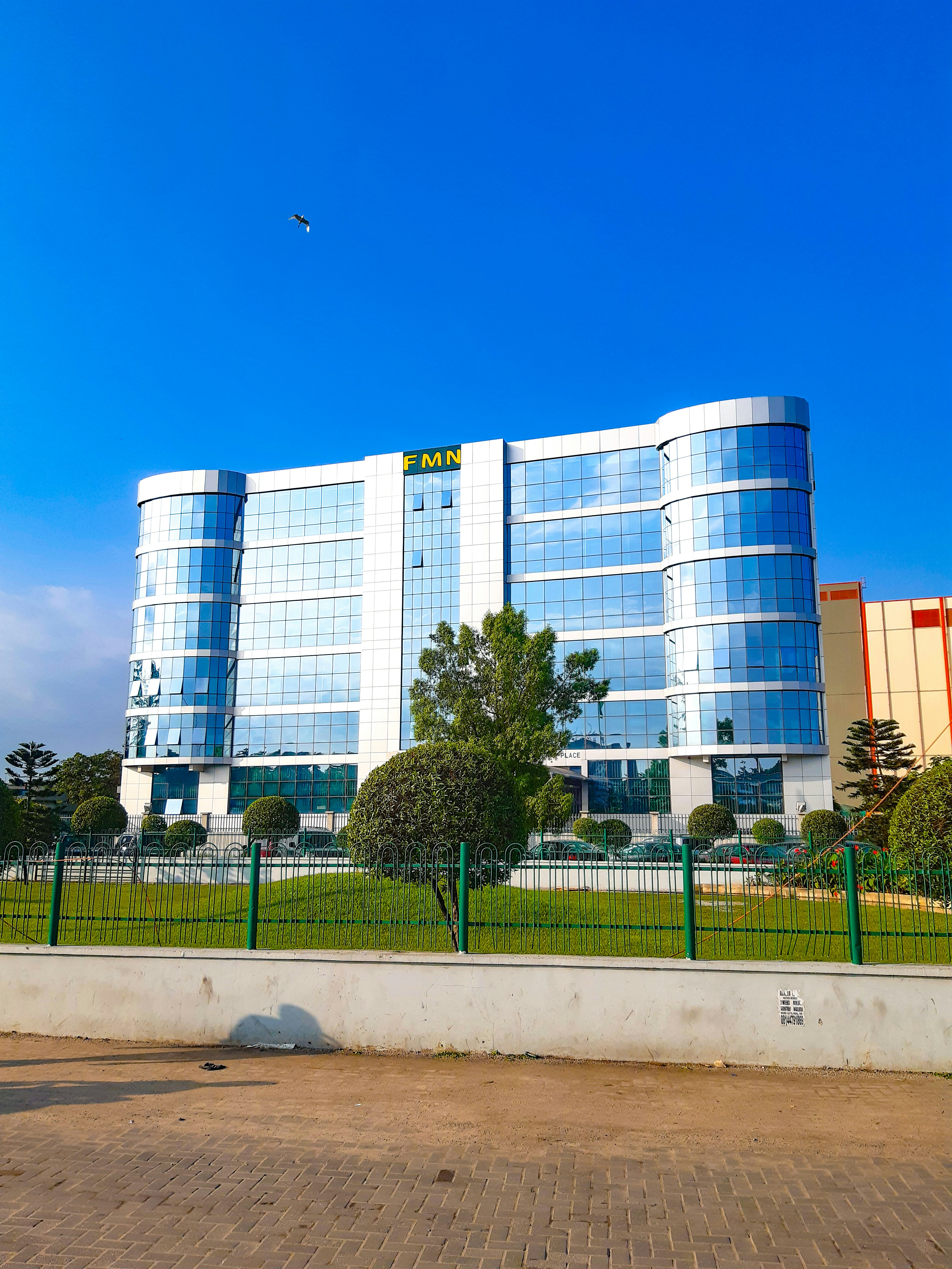 trees beside gray concrete building during daytme
