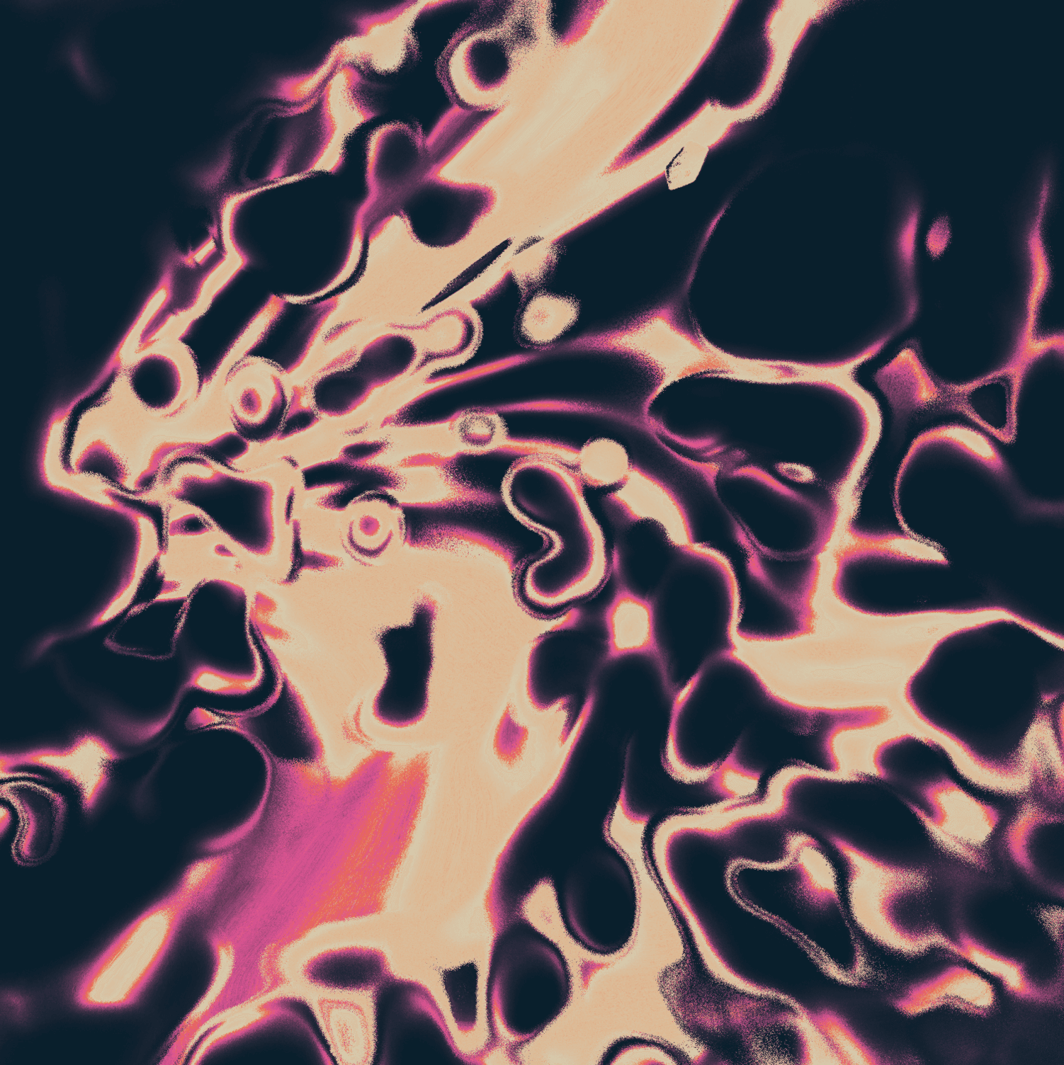 Resolution 004