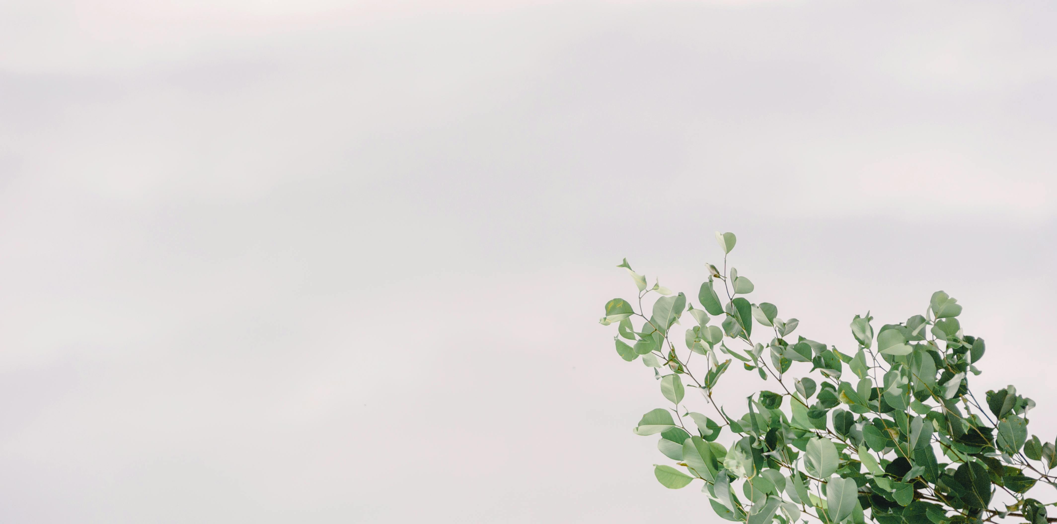 Portret psychoterapeuty Macieja Karasia na jasnym tle