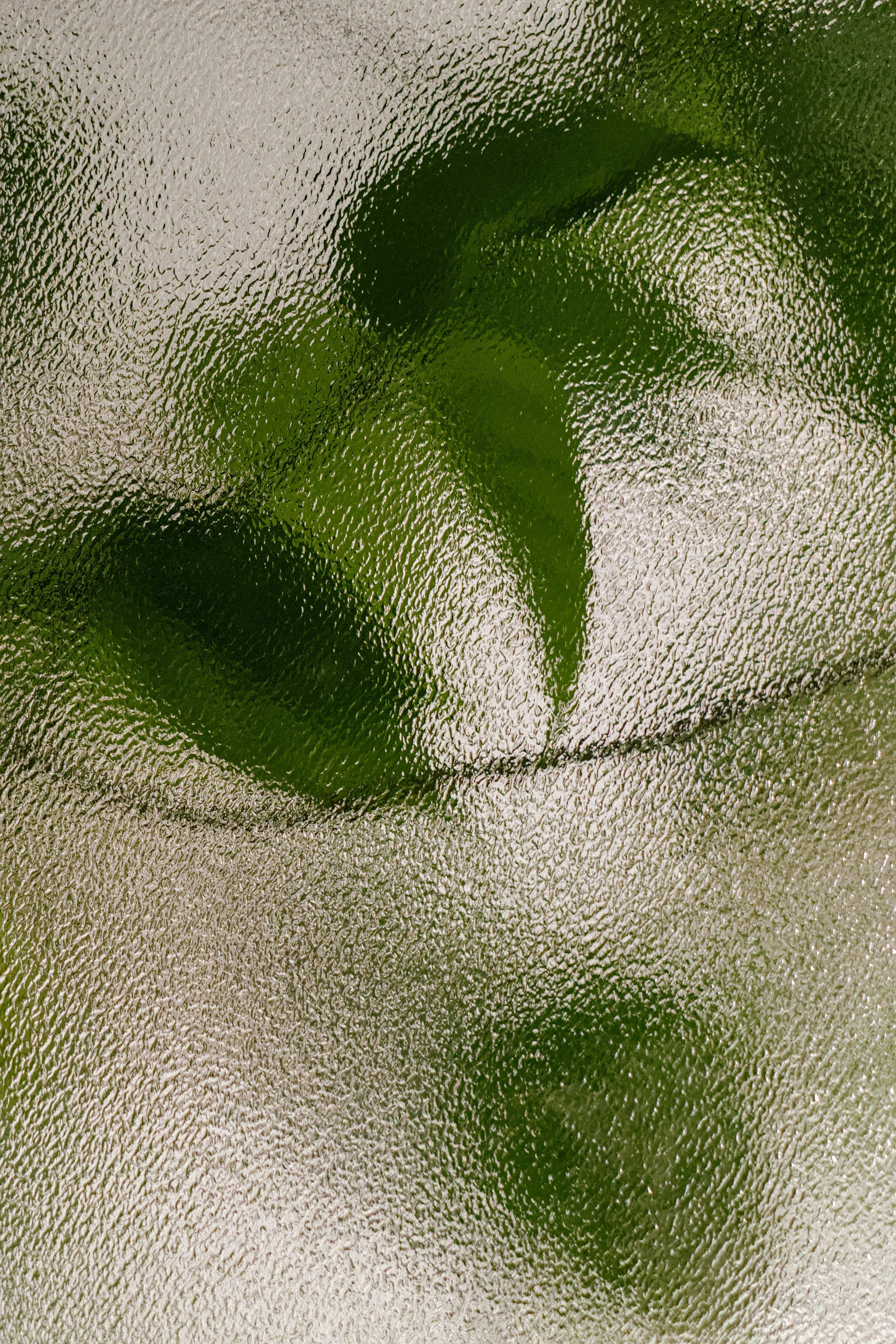 A close up of a green leaf on a white background