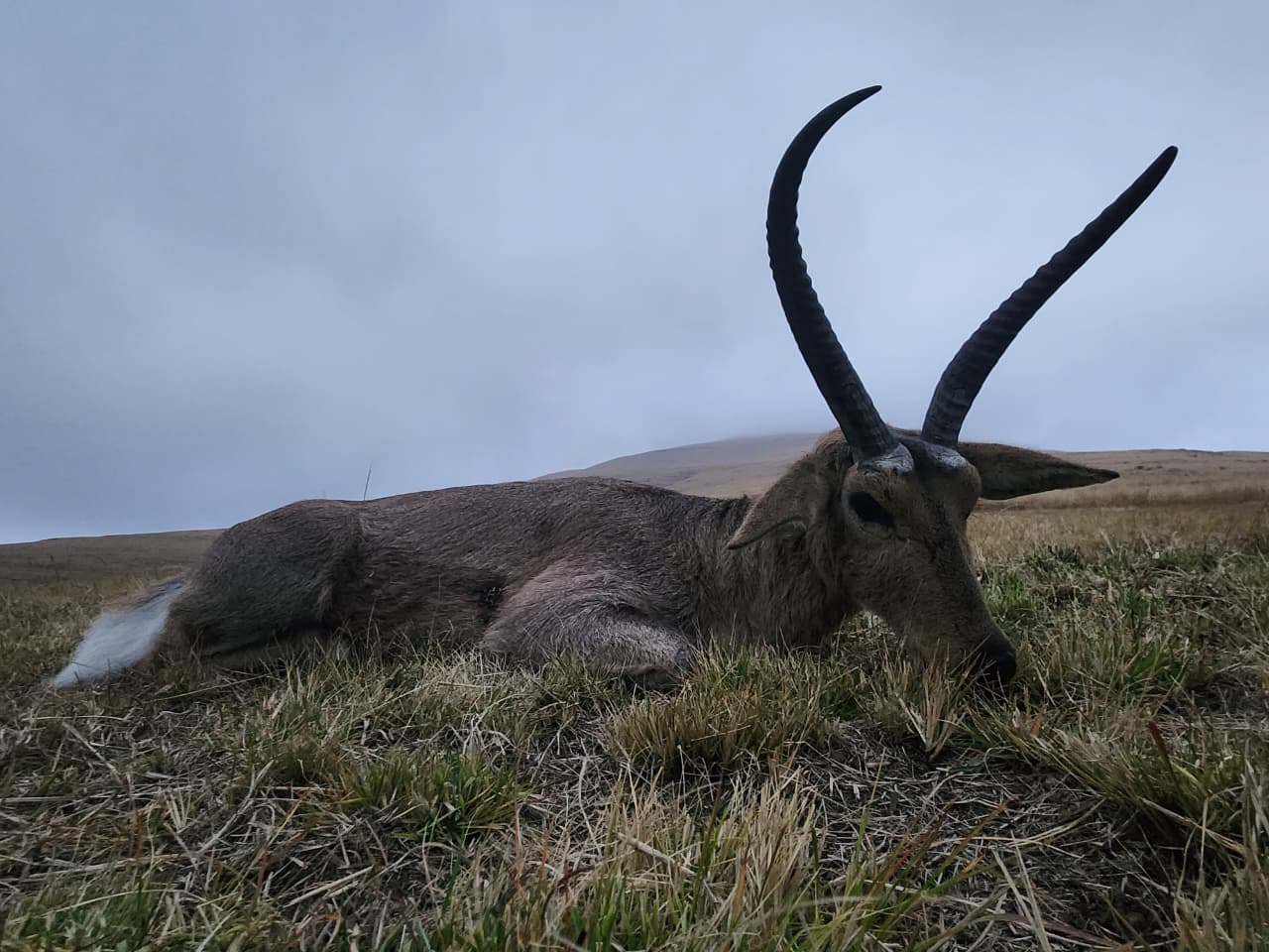 Gilson Hunting Safaris gallery photo 75