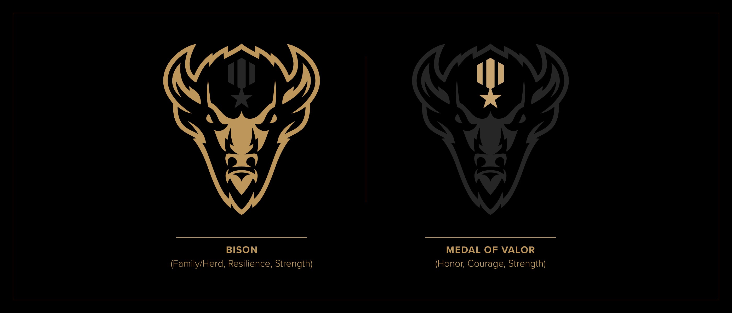 Strength Guard logo concept story.