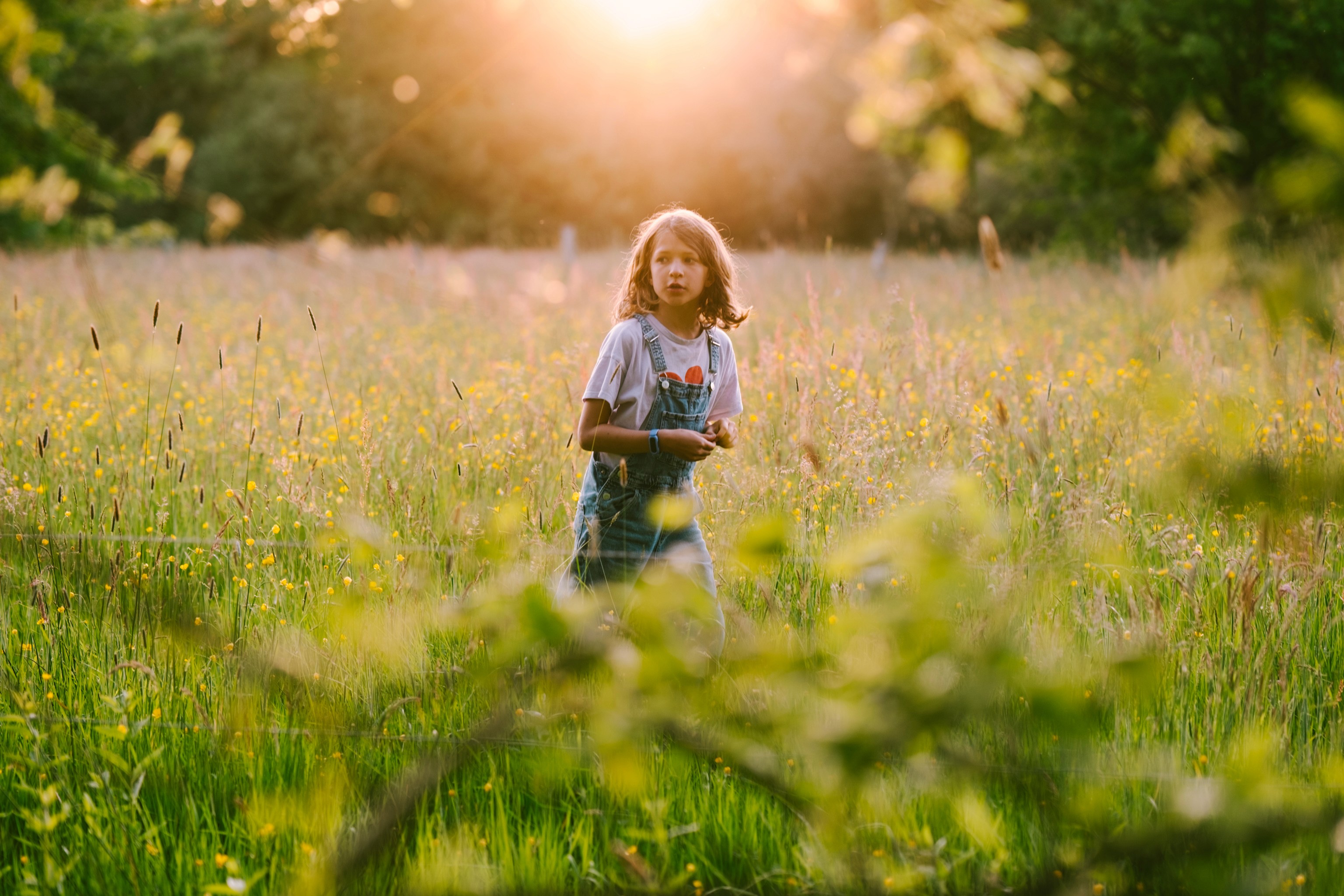 Wolf Children - Presets