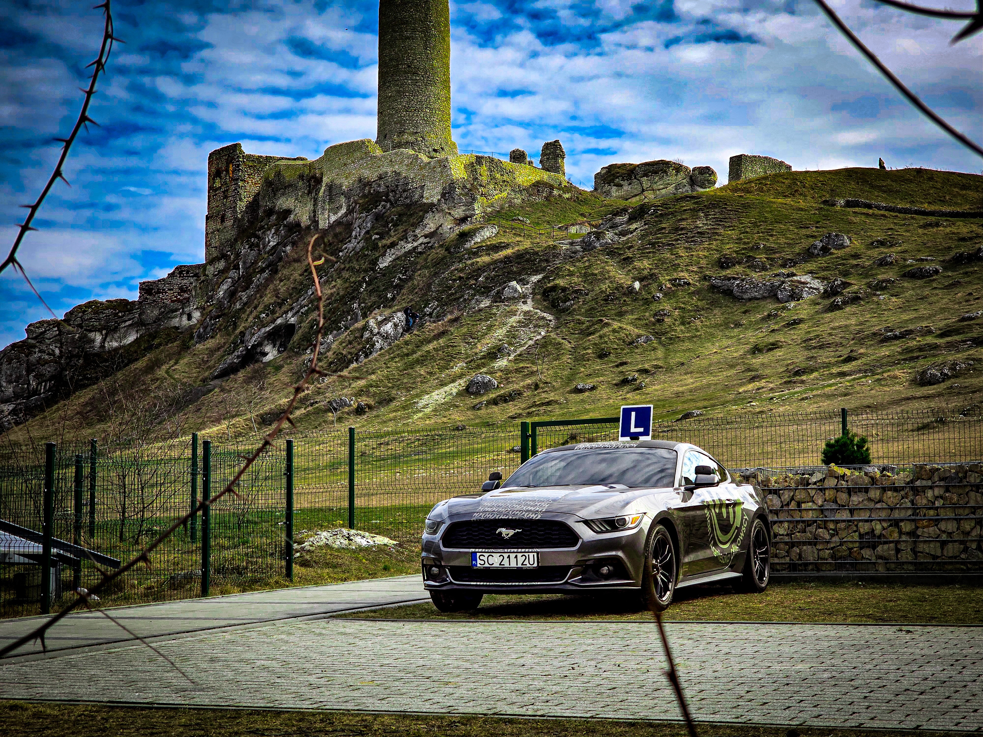 Auto szkoleniowe Mustang zaparkowane przy słupie oświetleniowym