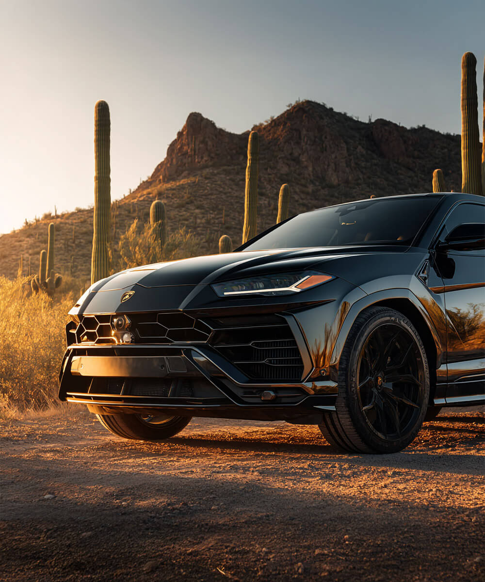 A black feHigh Limit Transportationmale model