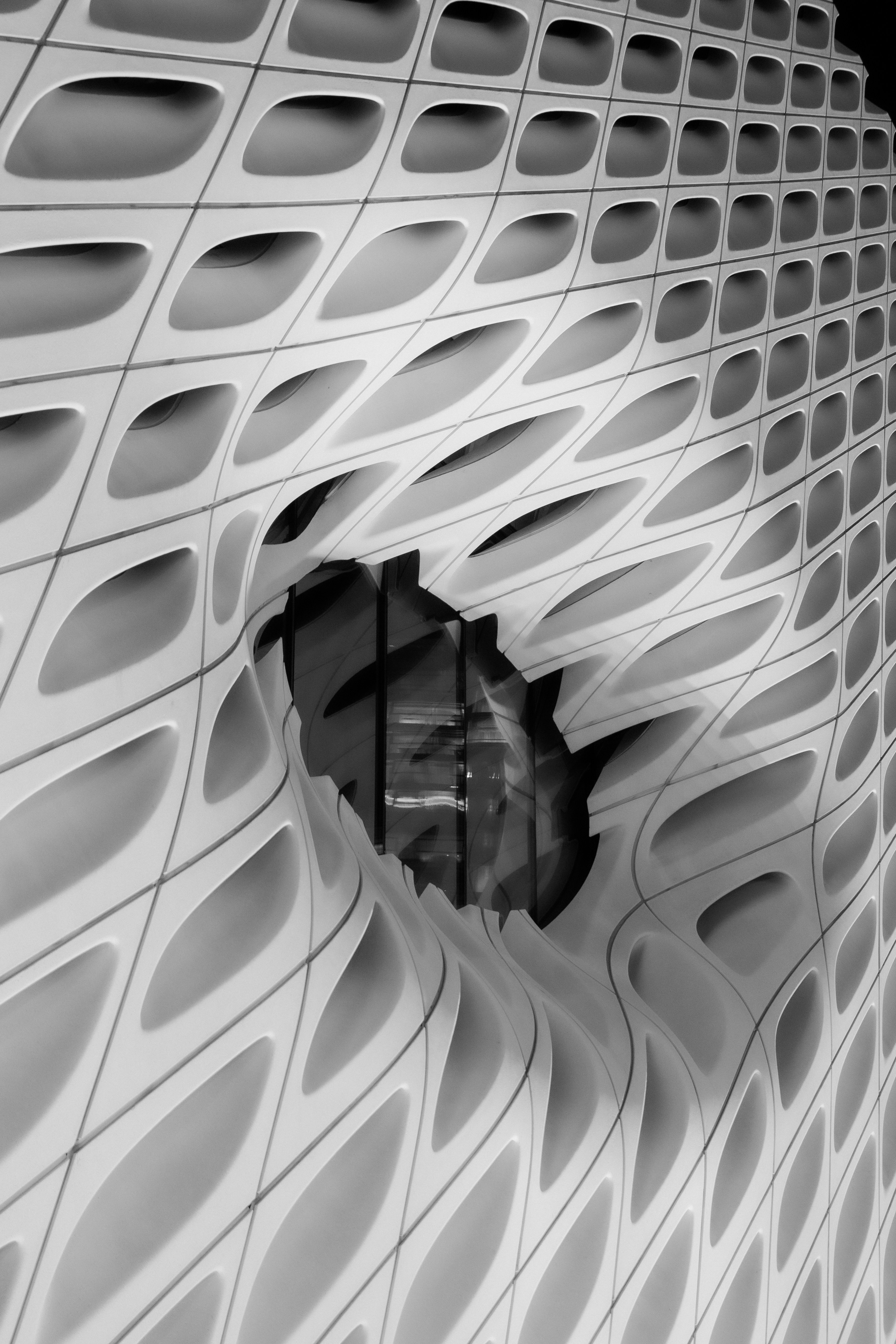 Project Content Image - 4