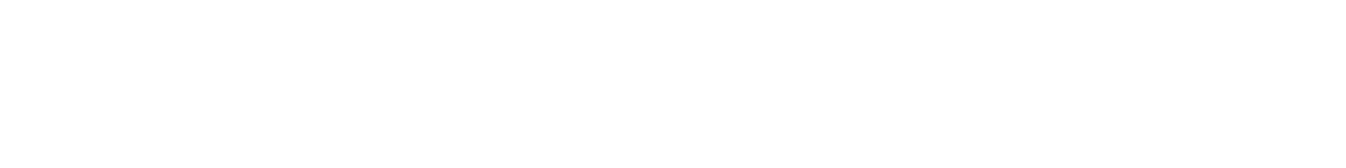 Client Havision Logo