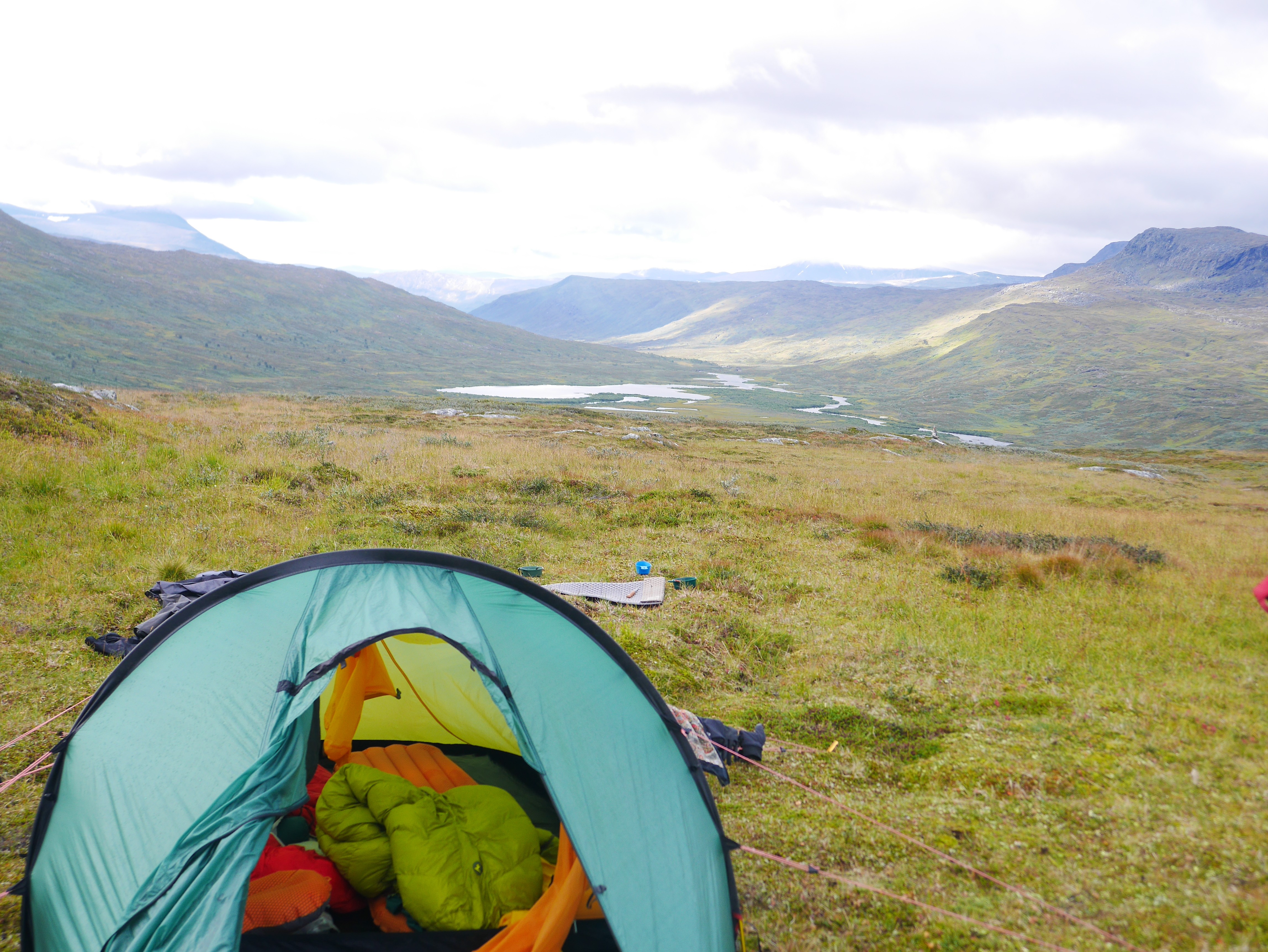 man wearing gray polo shirt beside dry-erase board