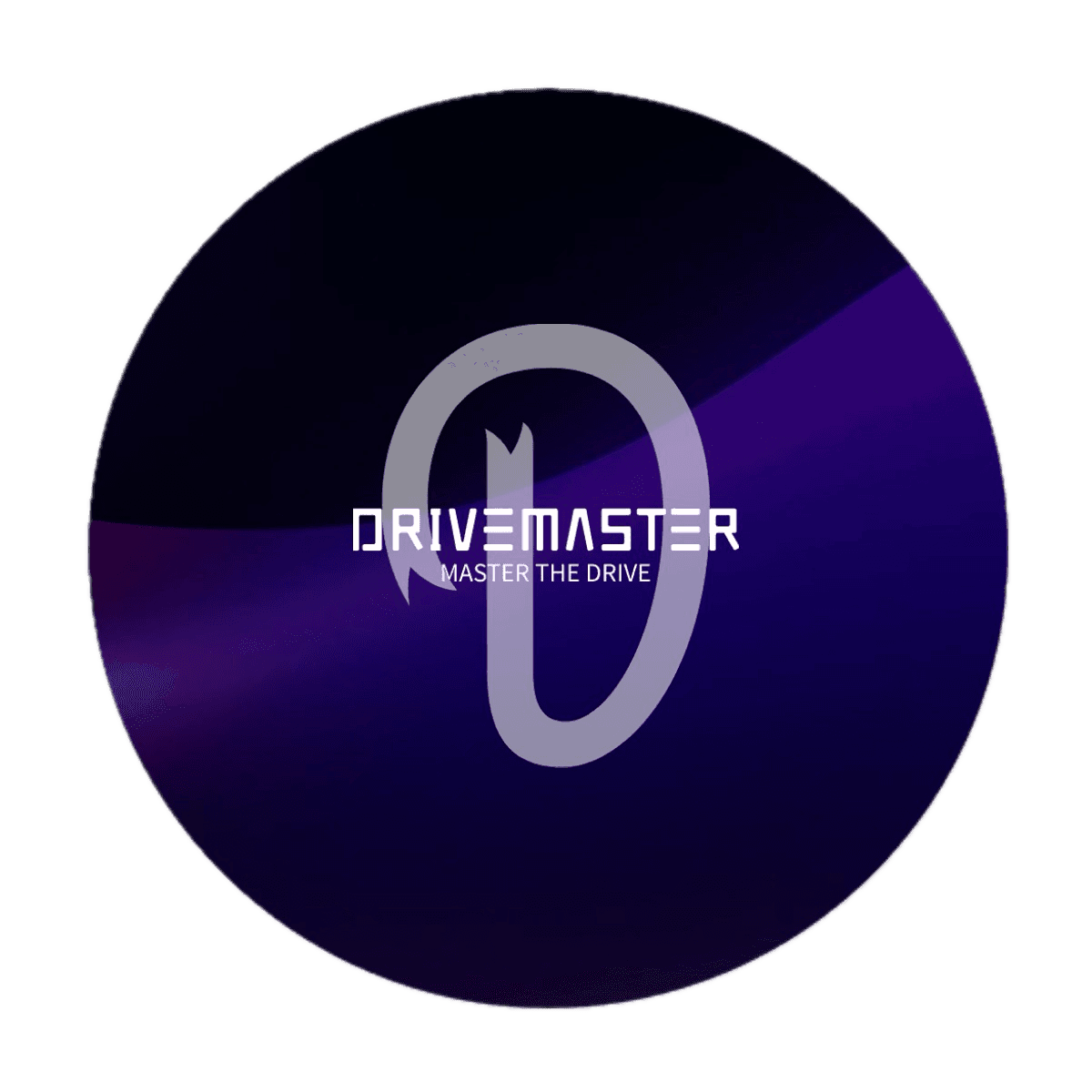 Logo Drivemaster Fahrschule Bern