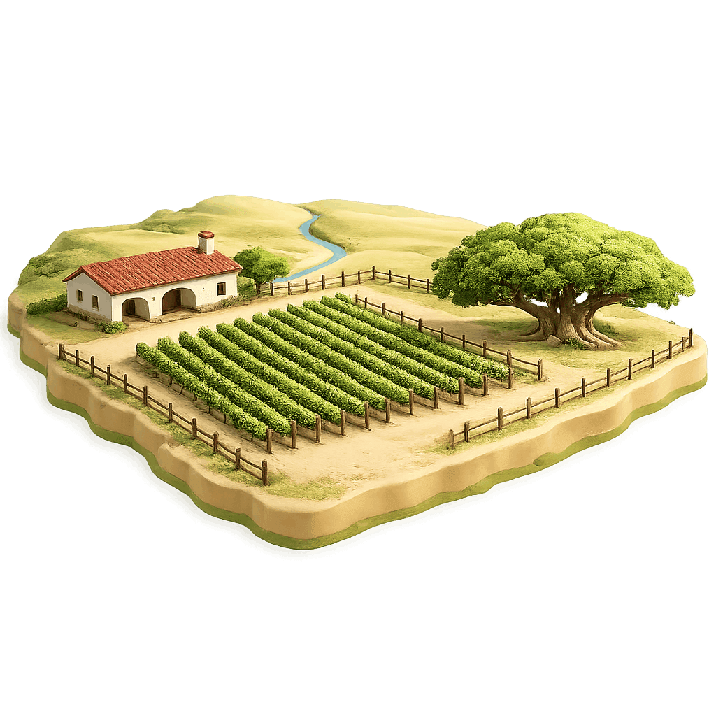 Artistic illustration of the Campanha wine region.