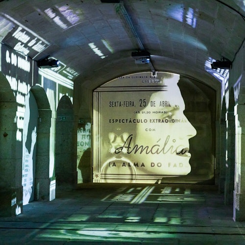 Show projection