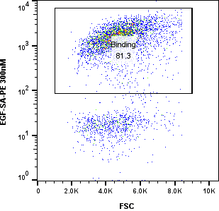 Variant 1 EGF yeast display FACS binding gate at 300 nM EGF