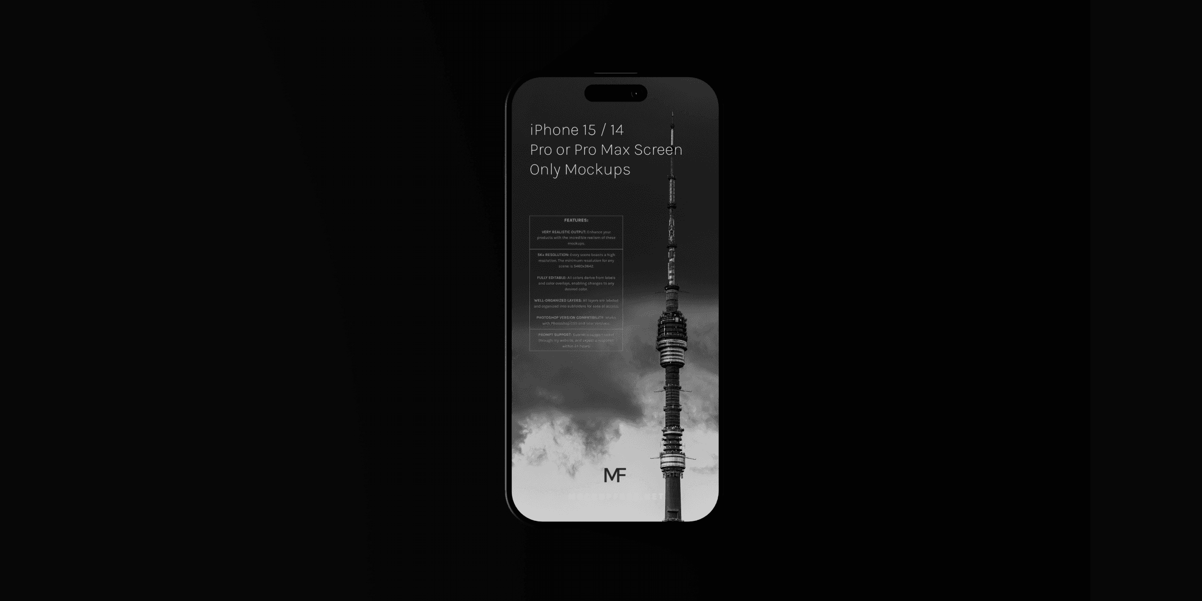 mobile app presentation two