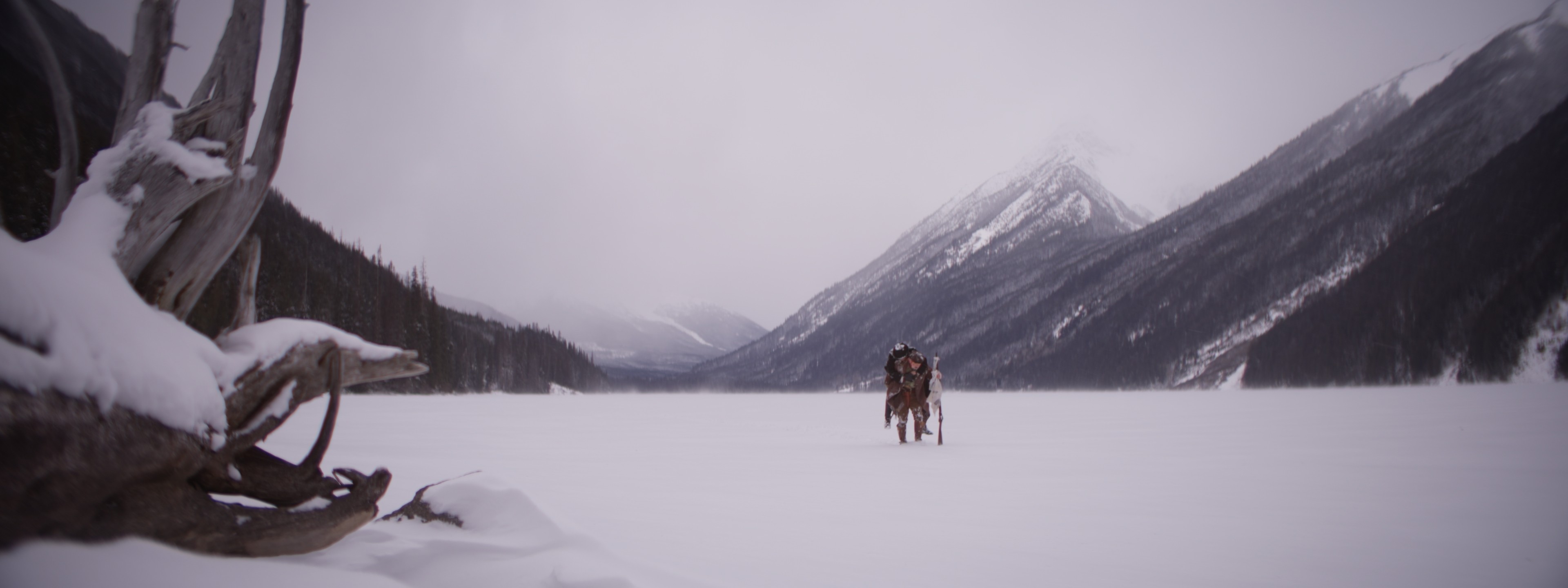 Tree branches reach towards a clear, blue sky.