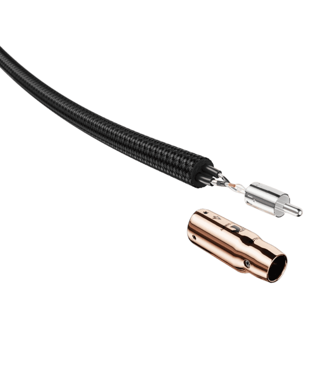 Audioquest RCA Black Beauty - 3 - LE STUDIO HIFI