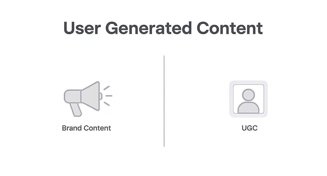 Infographic about what is user generated content