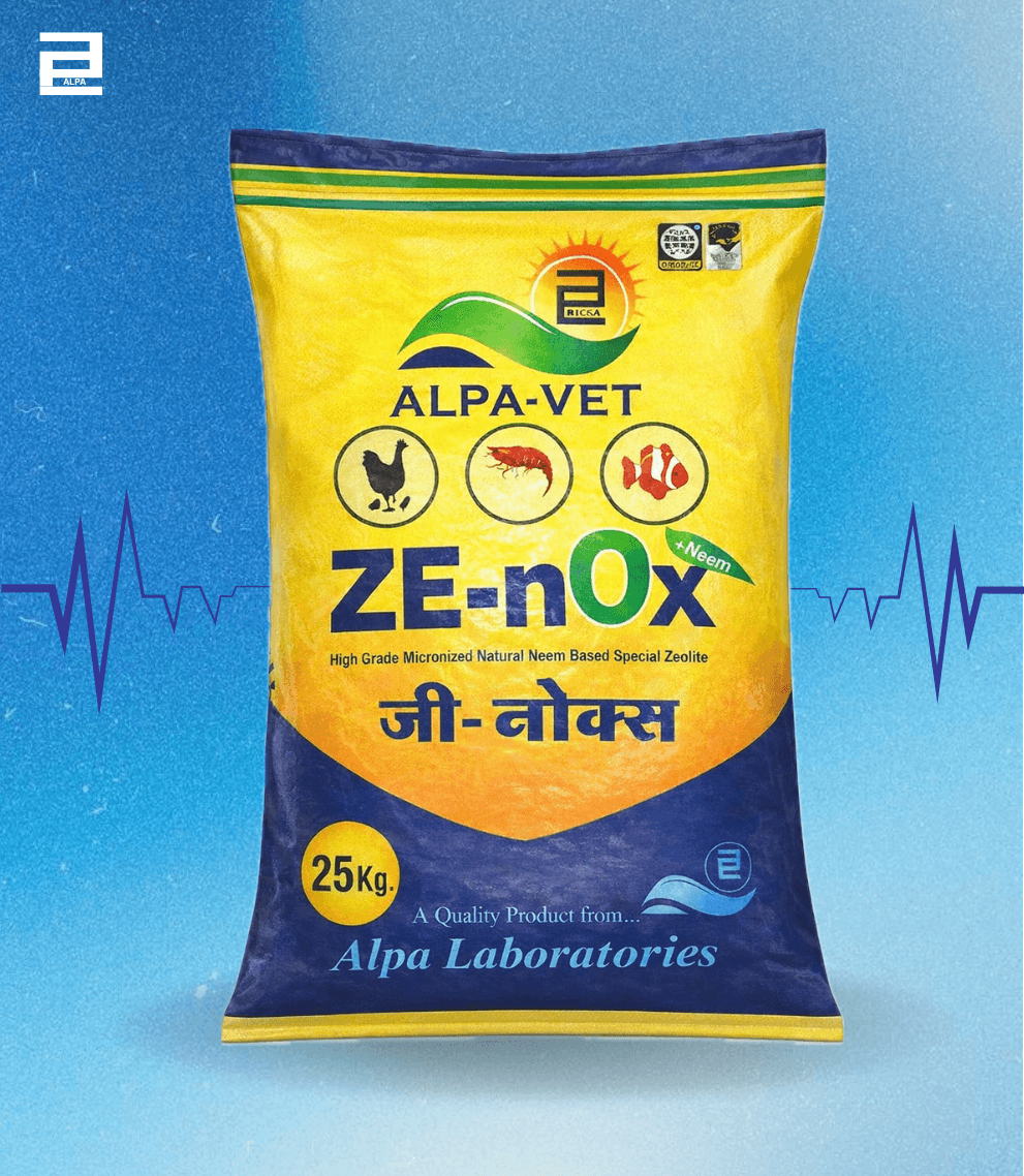 ZENOX