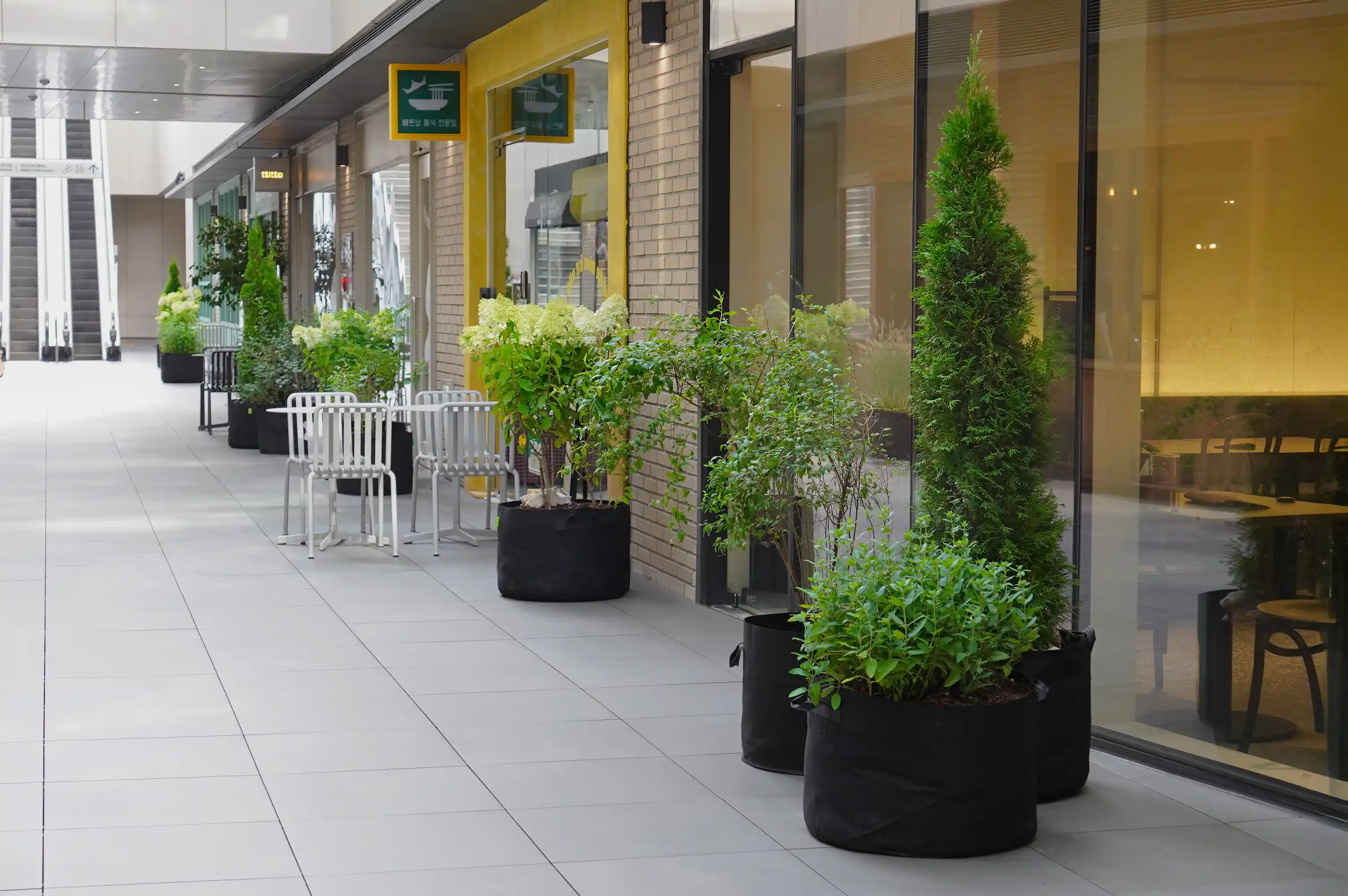 에코피플의 서울숲 D타워 B1 실내조경 시공 사례