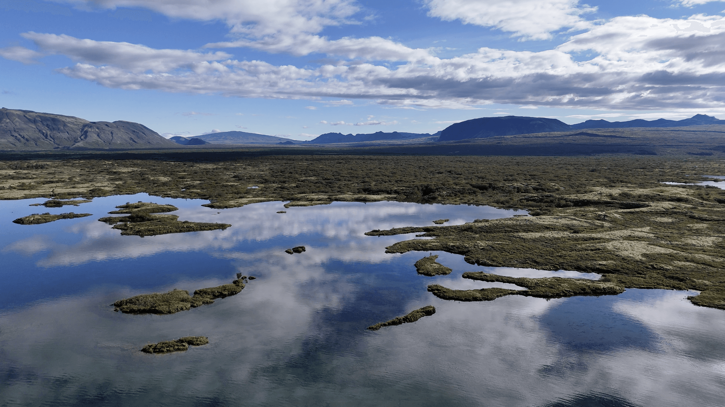Island Brown Trout Arctic char fjeldørred