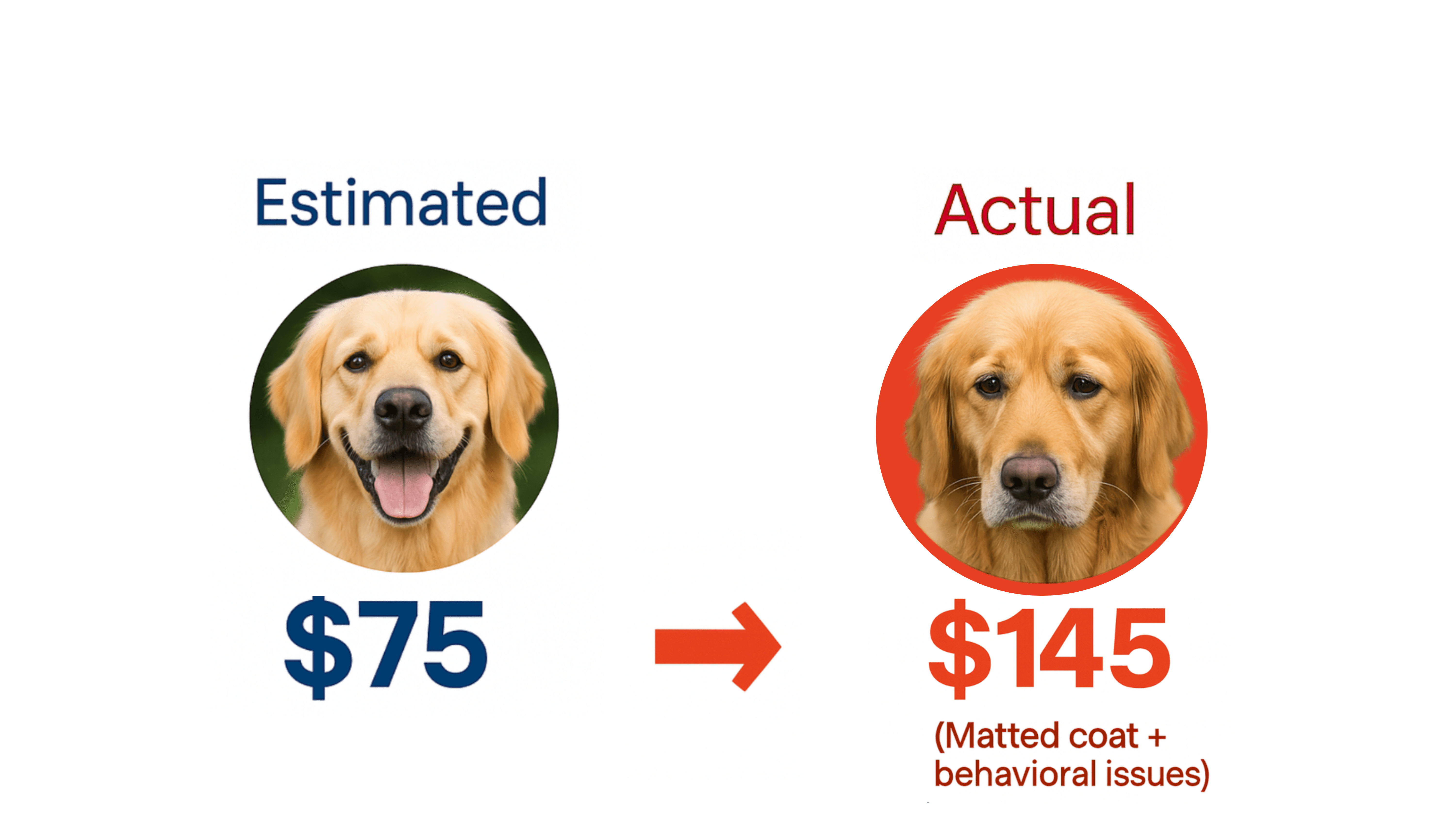 "Pet grooming software showing employee schedule and task management dashboard