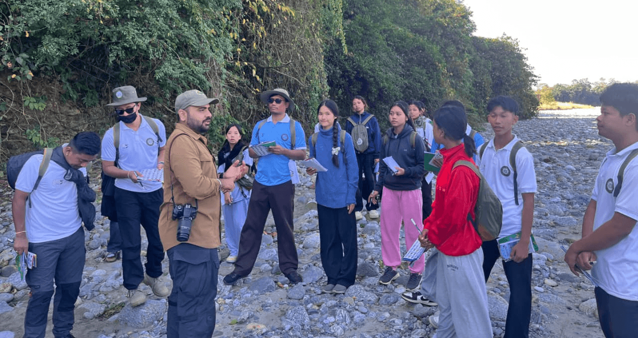 people on beach during daytime