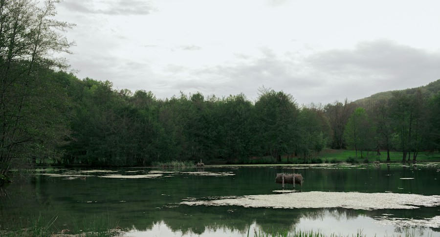 Paysage de la région de Brive-la-Gaillarde